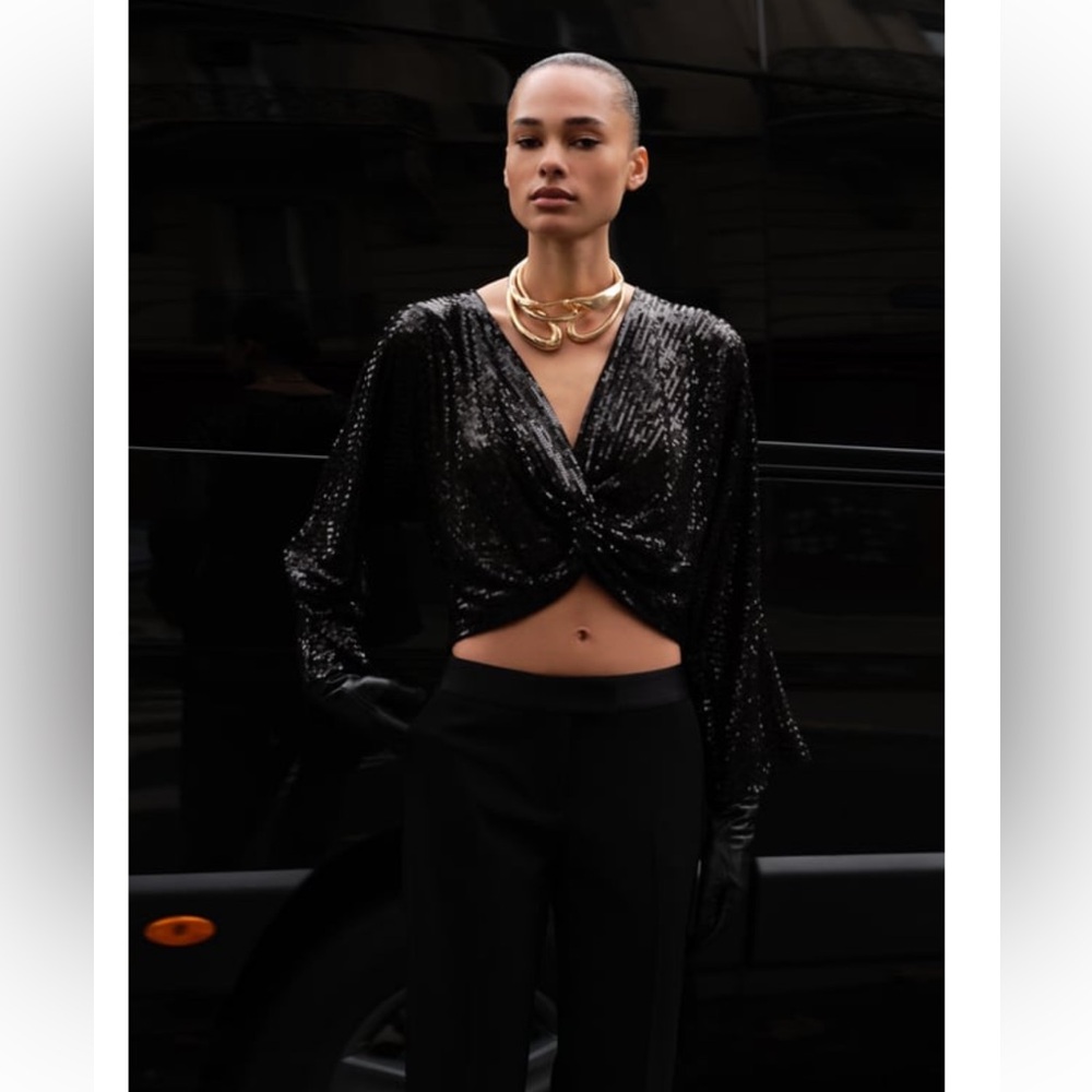 ZARA SEQUIN CROP TOP